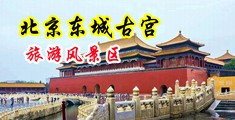 上床喷射无码视频中国北京-东城古宫旅游风景区